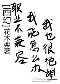《职业不兼容，我能怎么办》封面