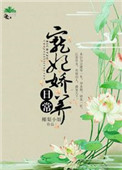 《宠妃娇养日常》封面