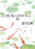 《[红楼]板儿的科举之路》封面