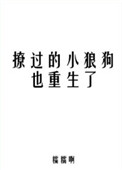 《撩过的小狼狗也重生了》封面