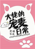 《大佬的宠妻日常》封面
