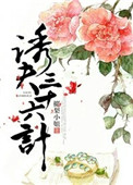 《诱夫三十六计》封面
