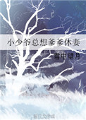 《小少爷总想爹爹休妻》封面