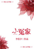 《小冤家》封面