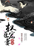 《权臣宠妻指南》封面