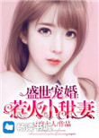 《盛世宠婚：惹火小甜妻》封面