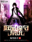 《极品掠夺系统》封面