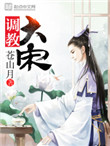 《调教大宋》封面