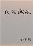 《我的城池》封面