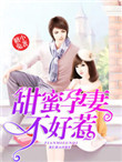 《甜蜜孕妻不好惹》封面