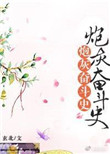 《炮灰奋斗史[清]》封面