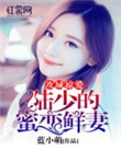 《攻城掠爱：陆少的蜜恋鲜妻》封面