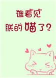 《谁看见朕的喵了？》封面