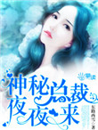 《神秘总裁夜夜来》封面