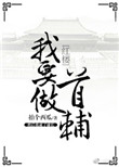 《[红楼]我要做首辅》封面
