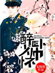 《醉卧少帅怀》封面