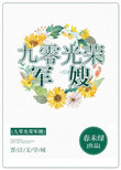 《九零光荣军嫂》封面