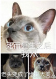 《死而复生之后我从老头变成了绝世大美人》封面