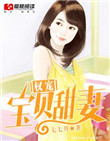 《权宠宝贝甜妻》封面