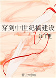《穿到中世纪搞建设》封面