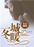 《一城冬暖》封面