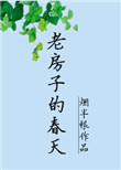 《老房子的春天》封面