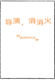 《导演，消消火》封面