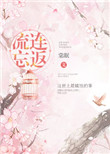 《流连忘返》封面