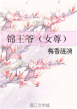 《锦王爷（女尊）》封面
