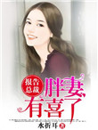 《报告总裁，胖妻有喜了》封面