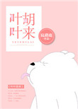 《叶叶胡来》封面