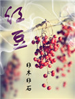 《红豆》封面