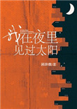 《我在夜里见过太阳》封面