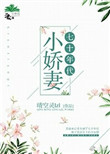 《七十年代小娇妻》封面