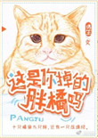 《这是你掉的胖橘吗》封面
