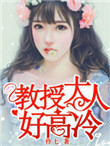 《教授大人好高冷》封面