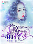 《隐婚99天：首席，请矜持》封面