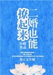 《二婚也能撩起来》封面