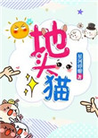 《地头猫》封面