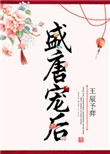 《盛唐宠后》封面