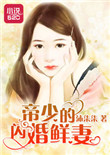 《帝少的闪婚鲜妻》封面