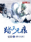 《踏天无痕》封面