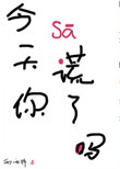 《今天你撒谎了吗》封面