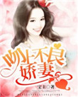 《吻上不良娇妻》封面