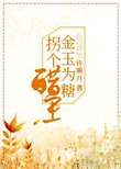 《金玉为糖，拐个醋王》封面