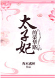 《太子妃的荣华路》封面