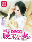 《名门孽婚：首席的暖床小妻》封面