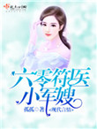《六零符医小军嫂》封面