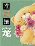 《唯你是宠[娱乐圈]》封面
