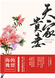 《天家贵妻》封面